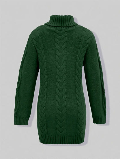 Narda Women's Turtleneck Dress